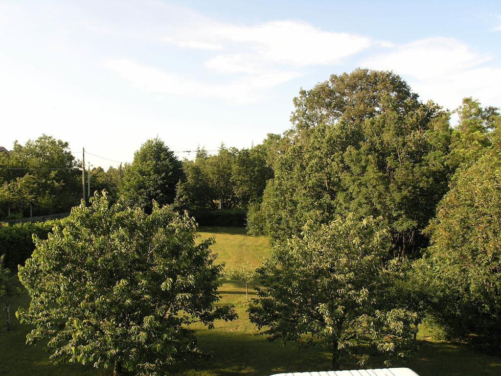 Stirenca B&B Trieste Extérieur photo