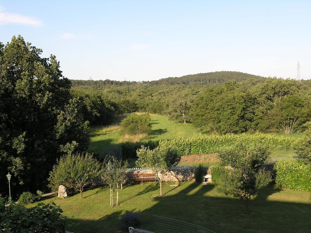 Stirenca B&B Trieste Extérieur photo